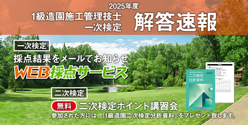 解答速報